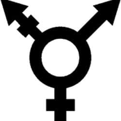 Transgenero e identidad sexual.